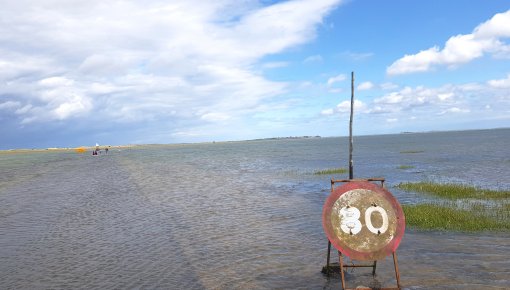 Holy Island causeway