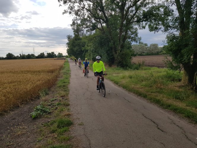 Across the Fens to Ely